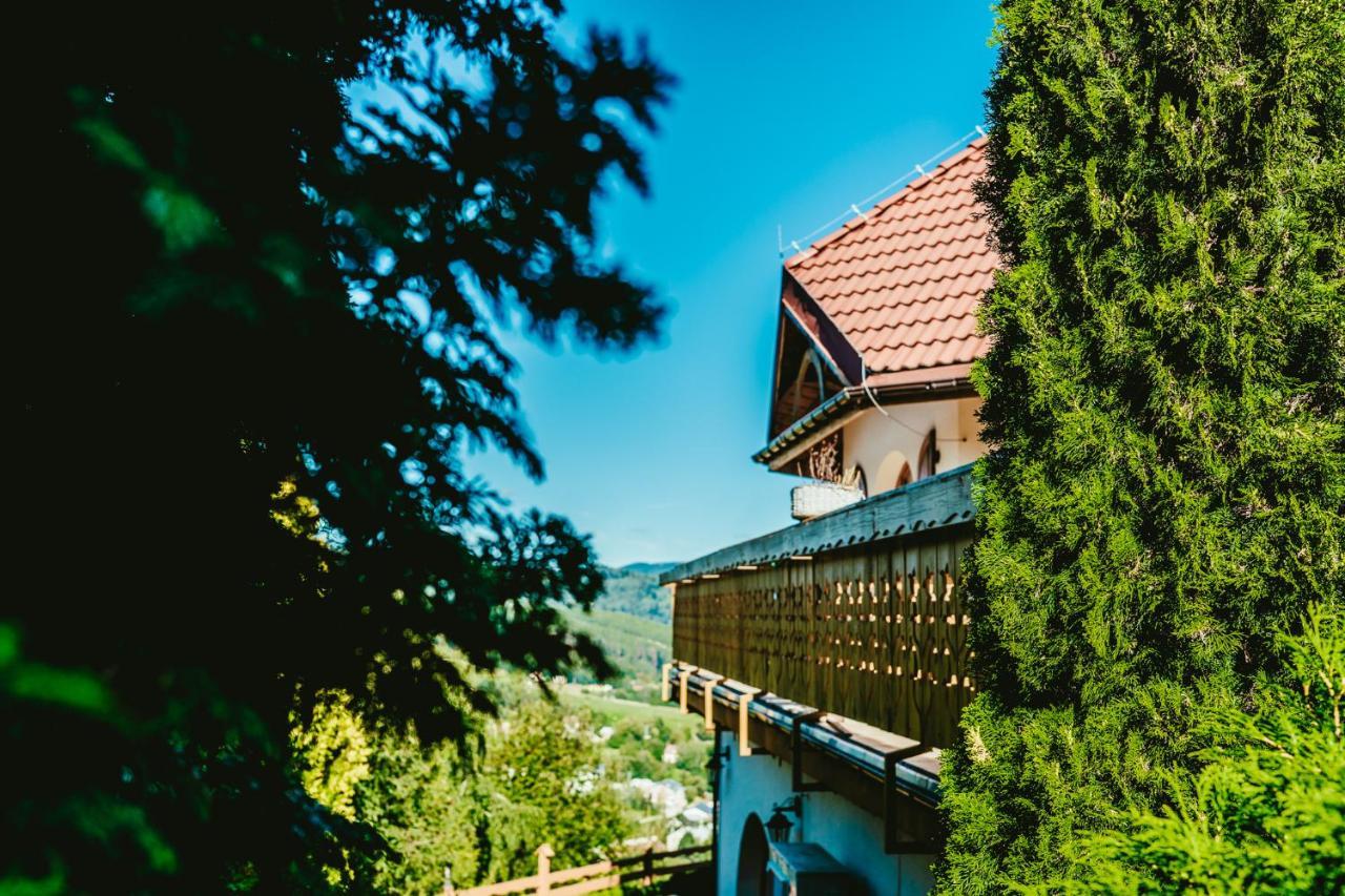 Karolowy Dwór Wisła Exterior foto